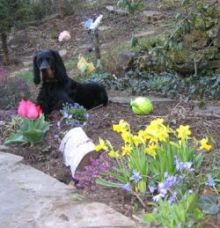 Monty zu Ostern 07